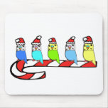 Budgies- Christmas Mousepad