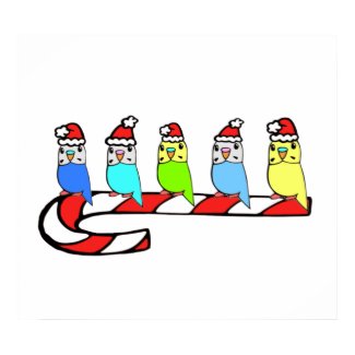 Budgies- Christmas print