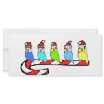 Budgies- Christmas Custom Rack Cards