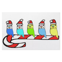 Budgies- Christmas stationery