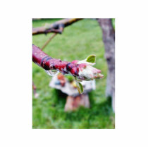 Buds Branches Raindrops photo sculptures