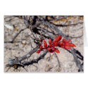 Buds cards by ESilbermann Buds cards