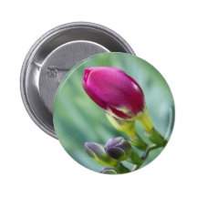 Buds of Spring Button