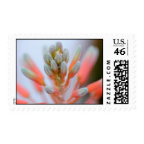 buds postage by tashatv28 buds postage