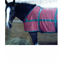 Budweiser Horses t-shirts by annette1234 Budweiser Horses t-shirts
