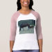Ladies 3/4 Sleeve Raglan (Fitted)