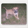 Bue-Eyed Puppy  Mouse Pad