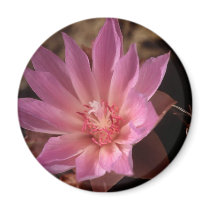 Bueatiful Pink Flower magnets