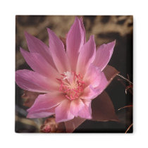 Bueatiful Pink Flower magnets