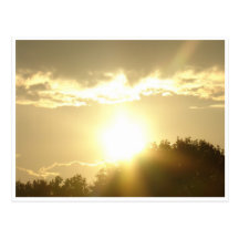 Bueaty In A Sunrise Post Card