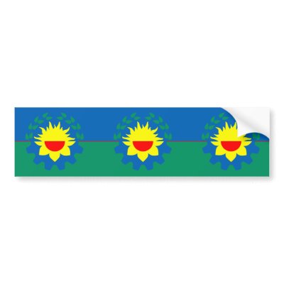 Buenos Aires, Argentina flag Bumper Sticker by FlagLibrary