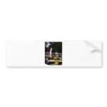 Buenos Aires Park Bumper Stickers