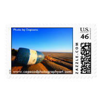 Buey, www.capecodphotographyart.com, Photo by D... stamps