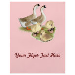 Buff African Goose Family Flyer Design
