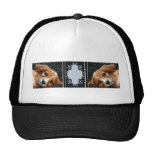 Buff Colored Cocker Spaniel Puppy on Polka Dots Trucker Hats
