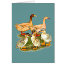 Buff Orpington Duck Family Greeting Card
