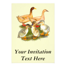 Buff Orpington Duck Family Invitations