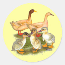 Buff Orpington Duck Family Stickers