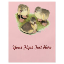 Buff Pomeranian Goslings Flyer