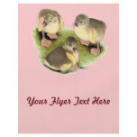 Buff Pomeranian Goslings flyers