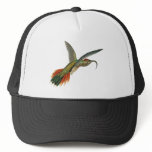 Buff-tailed Sicklebill hats