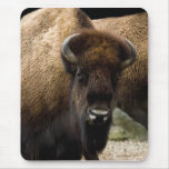 Buffalo 1549  Mousepad