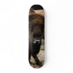 Buffalo 1549 Skateboard