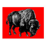 Buffalo American Bison Vintage Wood Engraving Postcard