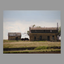 Buffalo and old Native Kansas Limestone Buildings posters