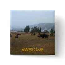 Buffalo Awesome Button