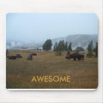 Buffalo Awesome Mousepad