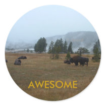 Buffalo Awesome Sticker