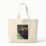 Buffalo Bags