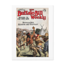 Buffalo Bill Weekly 9 postcards