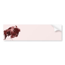 Buffalo - Bison Bumper Stickers