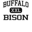 Buffalo - Bison - High School - Buffalo Wyoming t-shirts by customteamsportswear Buffalo - Bison - High School - Buffalo Wyoming t-shirts