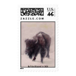 Buffalo Blizzard by DiDi postage
