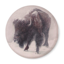 Buffalo Blizzard Refrigerator Magnets