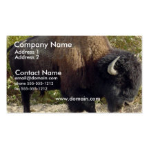 Buffalo Business Card