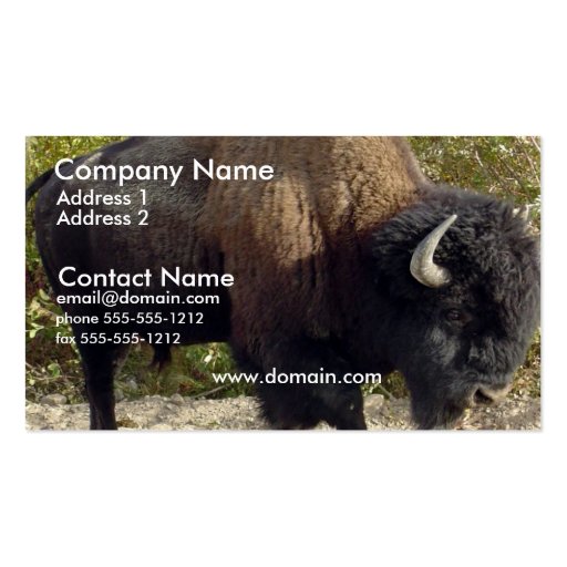 Buffalo Business Card (front side)