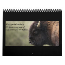 Buffalo Calendar 2013