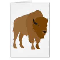 Buffalo Cards