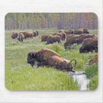 Buffalo Crossing mousepads by buffaloworks Buffalo Crossing mousepads
