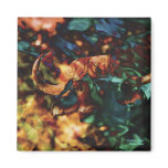 Buffalo Dagga Boy - art Refrigerator Magnets