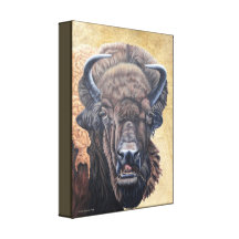 Buffalo Eating Gallery Wrapped Canvas
