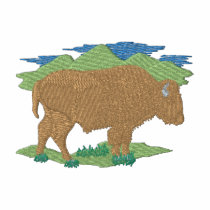 Buffalo embroidered shirts