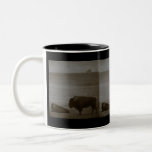 Buffalo Gifts and Greetings mugs