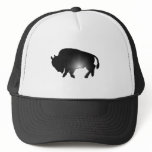 Buffalo Glare hats