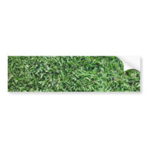 Buffalo grass bumper stickers
