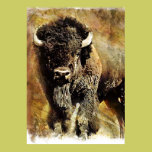 Buffalo Grunge Poster posters